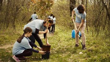Team of volunteers growing the natural habitat in a forest, planting trees and preserving nature by taking action and fighting to save the planet. Activists doing community service. Camera B. photo
