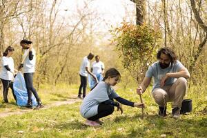 Volunteer and small girl collaborate on planting a tree together in the woods, helping the natural ecosystem. Activists volunteering to preserve forest habitat and increase vegetation. photo