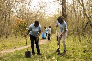 Group of activists working with shovel to plant new seedlings around the forest, digging up holes and installing trees seeds for nature conservation project. Diverse team take action. photo
