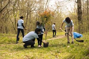Diverse team of environmentalists digging holes to plant trees in the woods, working together in unity to protect the natural ecosystem and preserve forest habitat. Conservation project. photo