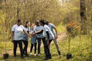 Joyful positive group of environmentalists collaborate to safeguard the ecosystem by growing trees in the forest. Individuals join hands to recognize the voluntary dedication they have. photo
