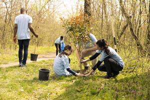 Team of volunteers digging holes and installing new trees, planting greenery for reforestation concept. Activists doing voluntary work and collaborating on conservation project. photo