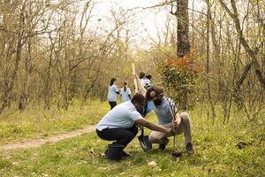 Man and woman activists covering hole by planting small tree in the woods, contributing to the reforestation and conservation project. People doing voluntary work to save the planet. photo