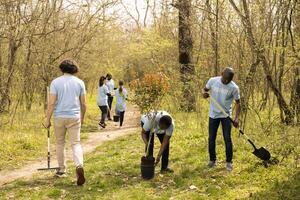 Activists team doing voluntary work to grow trees in the woods, covering holes in the ground with greenery to increase vegetation. Contributing to reforestation mission, conservation project. photo