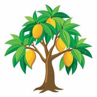 Mango tree on white background vector