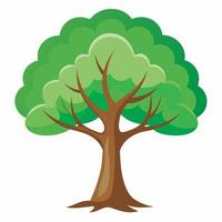 Tree on white background vector