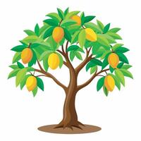 Mango tree on white background vector