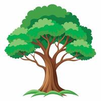 Tree on white background vector