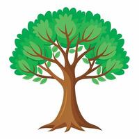 Tree on white background vector