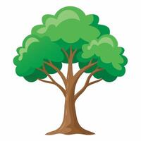 Tree on white background vector