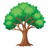 Tree on white background vector