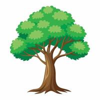 Tree on white background vector