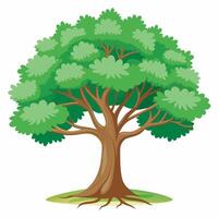 Tree on white background vector