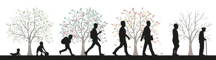 Men, stages of development. Life from birth to old age. A symbol from spring to winter. vector