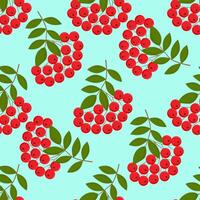 Seamless colorful autumn pattern with rowan berries and green leaves. Floral rowan illustration for print. vector