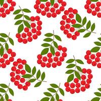 Seamless colorful autumn pattern with rowan berries and green leaves. Floral rowan illustration for print. vector