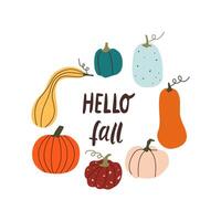 Autumn hand drawn lettering hello fall. Fall season handwritten slogan. Autumn phrase with cute cozy design elements isolate on white . vector