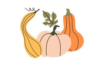 Pumpkins. Autumn composition with pumpkins. Fresh vegetables. Harvesting. Invitation to the Thanksgiving of the autumn season. flat cartoon illustration isolated on the white background. vector
