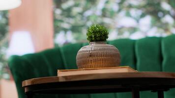 Stylish empty lounge area with elegant green furniture and wooden table. Natural light fills the space, creating a cozy atmosphere. Panoramic view of trees, rural lifestyle with cute design. video