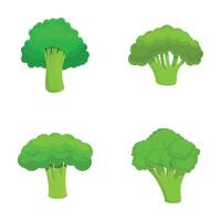 Broccoli cabbage icons set cartoon vector. Fresh green broccoli on stalk vector