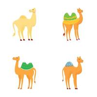 Funny camel icons set cartoon vector. Different type of camel with saddlery vector