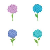Various hydrangea icons set cartoon vector. Colorful hydrangea flower vector