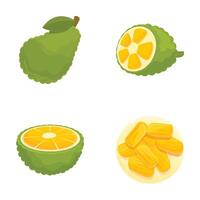 Colorful collection of bergamot illustrations in various forms, whole, sliced, and peeled vector