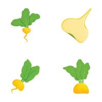 Colorful vector set of various root vegetables