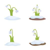 Set of snowdrop flowers emerging through snow vector