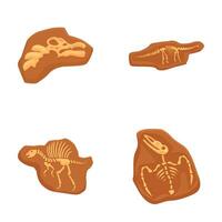 Collection of four cartoonstyle illustrations displaying various dinosaur fossils vector