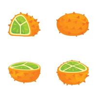 Set of four vibrant kiwano  horned melon  graphics in various states vector