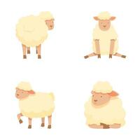 Set of four cute cartoon sheep in various poses on a white background vector