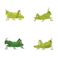 Set of cartoon grasshoppers in various poses vector