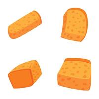 Various types of cheddar cheese isolated set vector
