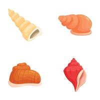 Set of colorful seashell illustrations vector