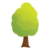 Green tree with lush foliage standing tall on white background vector