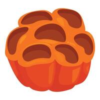 Orange bell pepper sliced open showing seeds vector