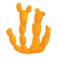 Turmeric root growing with rhizome detailing culinary use vector