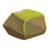 Moss growing on stone creating beautiful natural landscape design element vector