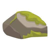 Grey stone with green moss growing on its surface vector