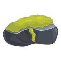 Grey stone covered with green moss growing on surface vector