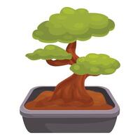 Small bonsai tree growing in rectangular pot vector