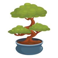 Small bonsai tree growing in a pot on white background vector