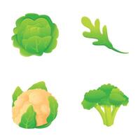 Cabbage icons set cartoon vector. Cauliflower, broccoli and white cabbage vector