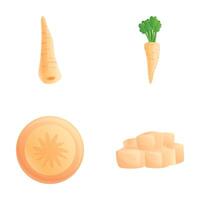 Ripe parsnip icons set cartoon vector. Whole and sliced parsnip root vector