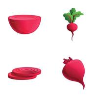 Ripe beet icons set cartoon vector. Whole and chopped beetroot vector