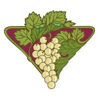 Grape vine or grape branch decorative elements, set. Isolated hanging grape twigs with green and purple berries. Framing or decor for banner design vector