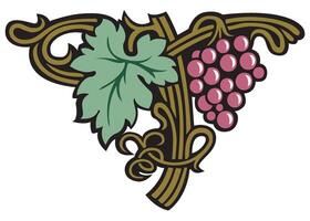 Grape vine or grape branch decorative elements, set. Isolated hanging grape twigs with green and purple berries. Framing or decor for banner design vector