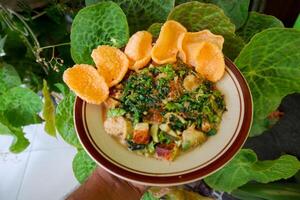 lotek is a traditional salad from Indonesia made from vegetable, chayote, kale, young jackfruit, tempeh, tofu, long beans, and bean sprouts with peanut sauce and cracker photo