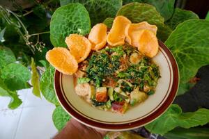 lotek is a traditional salad from Indonesia made from vegetable, chayote, kale, young jackfruit, tempeh, tofu, long beans, and bean sprouts with peanut sauce and cracker photo
